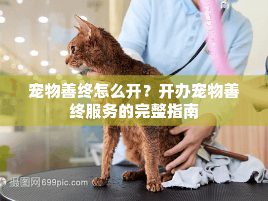 宠物善终怎么开？开办宠物善终服务的完整指南