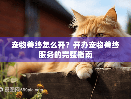 宠物善终怎么开？开办宠物善终服务的完整指南