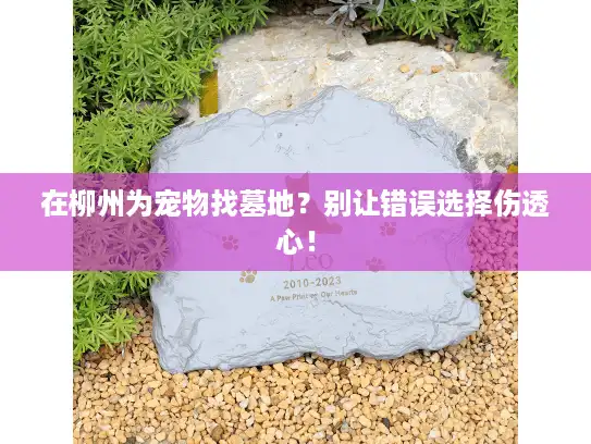 在柳州为宠物找墓地？别让错误选择伤透心！