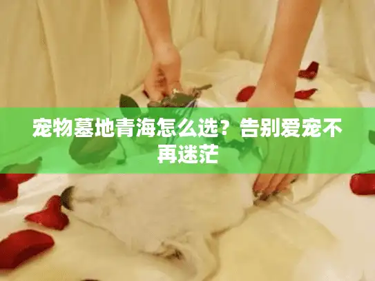 宠物墓地青海怎么选？告别爱宠不再迷茫