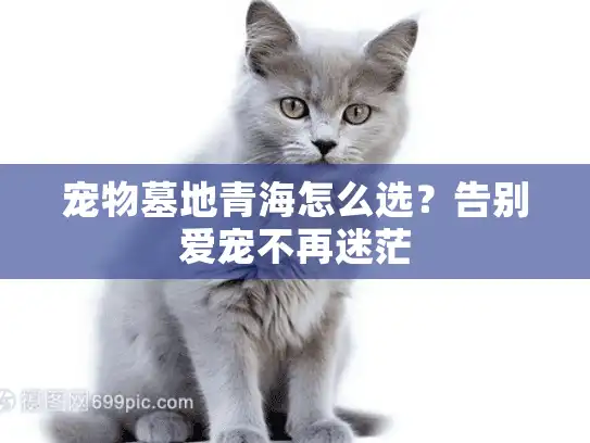 宠物墓地青海怎么选？告别爱宠不再迷茫