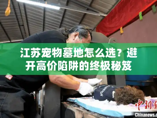 江苏宠物墓地怎么选？避开高价陷阱的终极秘笈