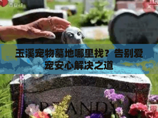 玉溪宠物墓地哪里找？告别爱宠安心解决之道