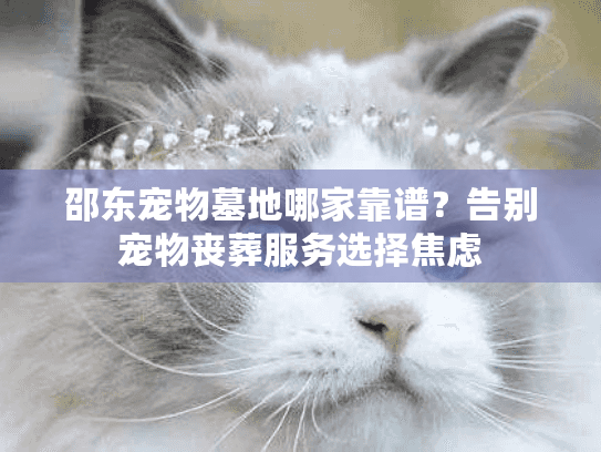 邵东宠物墓地哪家靠谱?告别宠物丧葬服务选择焦虑 邵东宠物墓地哪家靠谱?告别宠物丧葬服务选择焦虑