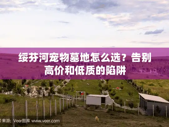 绥芬河宠物墓地怎么选？告别高价和低质的陷阱