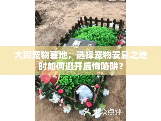 大同宠物墓地,选择宠物安息之地时如何避开后悔陷阱? 大同宠物墓地,选择宠物安息之地时如何避开后悔陷阱?