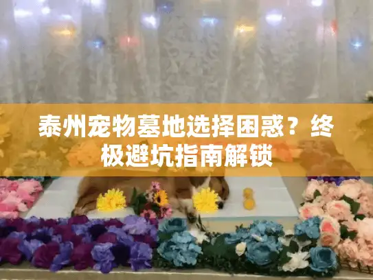 泰州宠物墓地选择困惑？终极避坑指南解锁