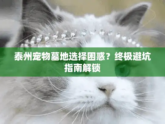 泰州宠物墓地选择困惑？终极避坑指南解锁