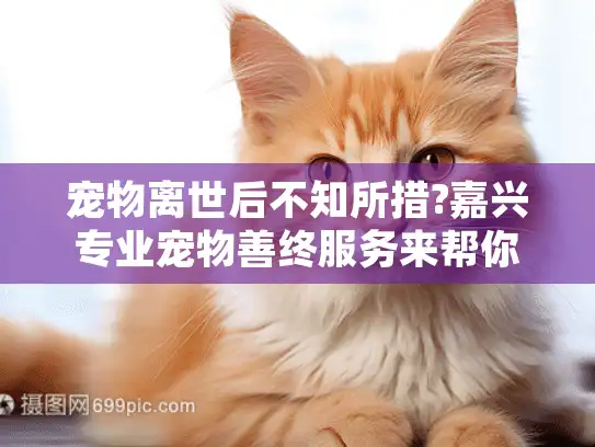 宠物离世后不知所措?嘉兴专业宠物善终服务来帮你 宠物离世后不知所措?嘉兴专业宠物善终服务来帮你
