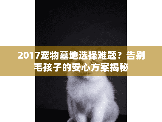 2017宠物墓地选择难题？告别毛孩子的安心方案揭秘