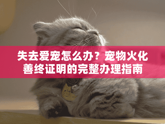 失去爱宠怎么办?宠物火化善终证明的完整办理指南 失去爱宠怎么办?宠物火化善终证明的完整办理指南
