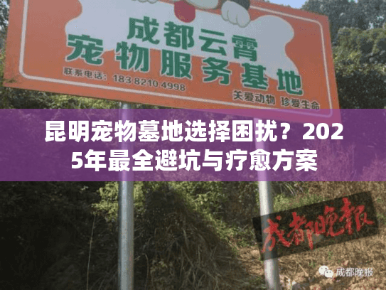 昆明宠物墓地选择困扰？2025年最全避坑与疗愈方案