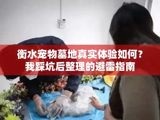 衡水宠物墓地真实体验如何？我踩坑后整理的避雷指南
