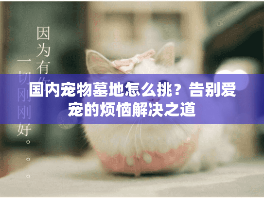 国内宠物墓地怎么挑？告别爱宠的烦恼解决之道