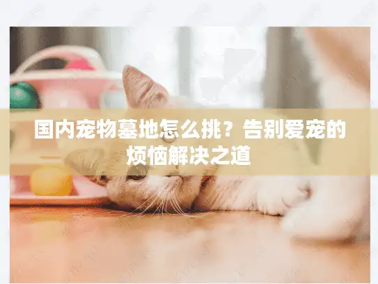 国内宠物墓地怎么挑？告别爱宠的烦恼解决之道