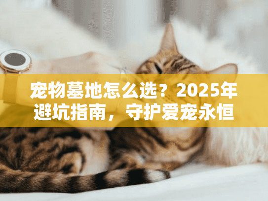 宠物墓地怎么选？2025年避坑指南，守护爱宠永恒安息