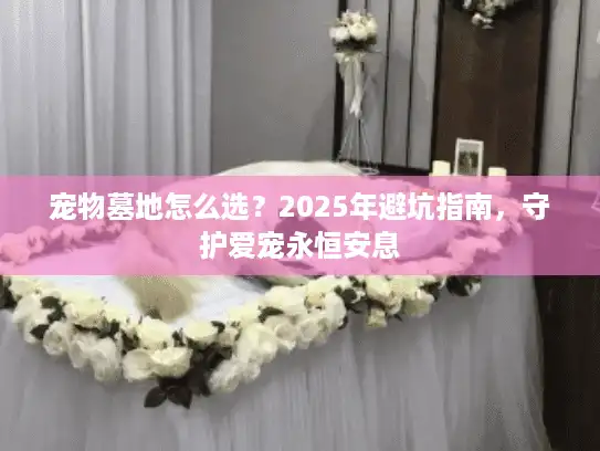 宠物墓地怎么选？2025年避坑指南，守护爱宠永恒安息
