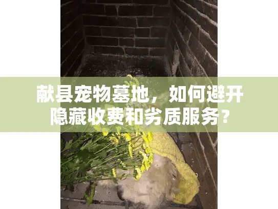 献县宠物墓地，如何避开隐藏收费和劣质服务？
