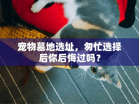 宠物墓地选址，匆忙选择后你后悔过吗？