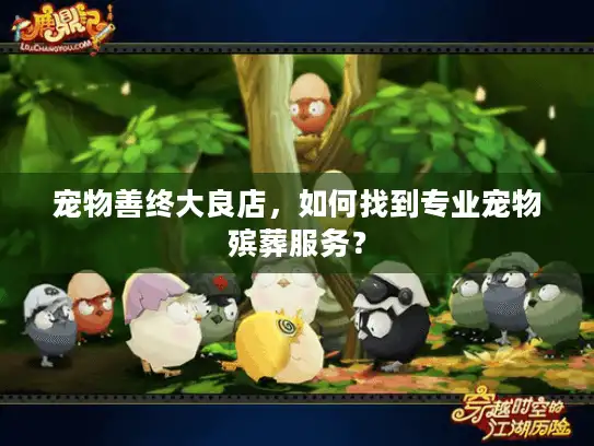 宠物善终大良店，如何找到专业宠物殡葬服务？