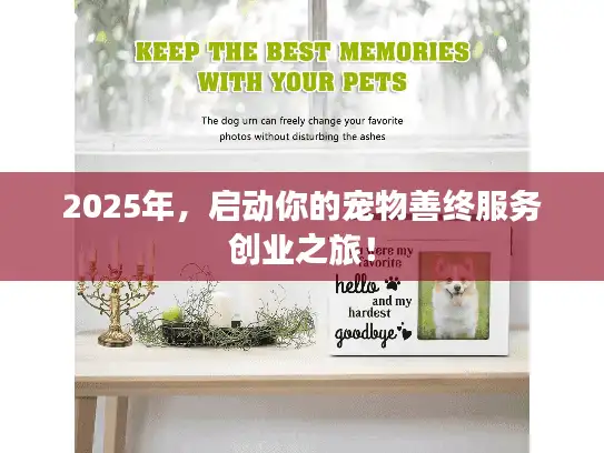 2025年,启动你的宠物善终服务创业之旅! 2025年,启动你的宠物善终服务创业之旅!