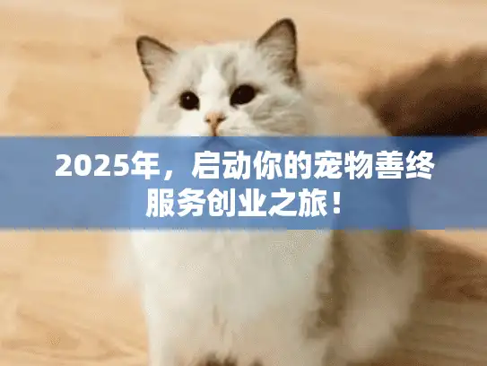 2025年,启动你的宠物善终服务创业之旅! 2025年,启动你的宠物善终服务创业之旅!