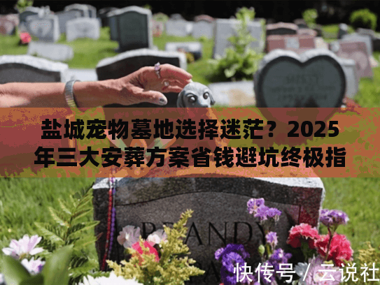 盐城宠物墓地选择迷茫？2025年三大安葬方案省钱避坑终极指南