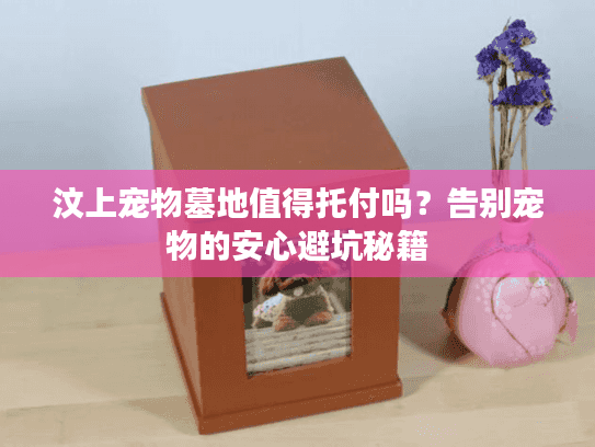 汶上宠物墓地值得托付吗?告别宠物的安心避坑秘籍 汶上宠物墓地值得托付吗?告别宠物的安心避坑秘籍