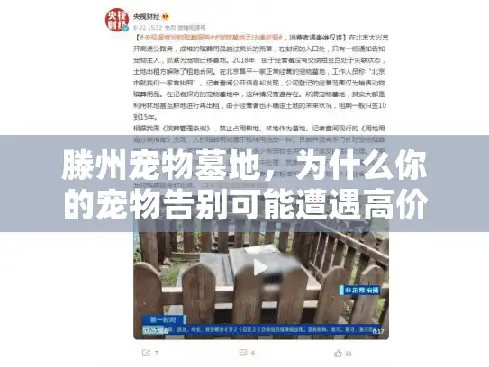 滕州宠物墓地,为什么你的宠物告别可能遭遇高价陷阱,如何聪明选择? 滕州宠物墓地,为什么你的宠物告别可能遭遇高价陷阱,如何聪明选择?