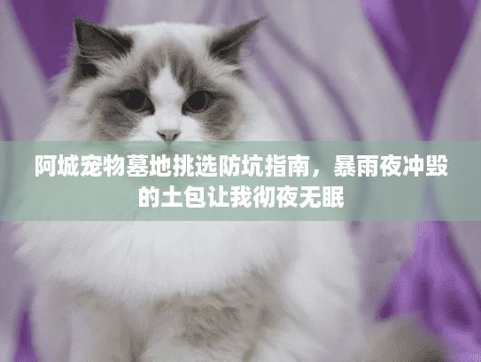 阿城宠物墓地挑选防坑指南，暴雨夜冲毁的土包让我彻夜无眠