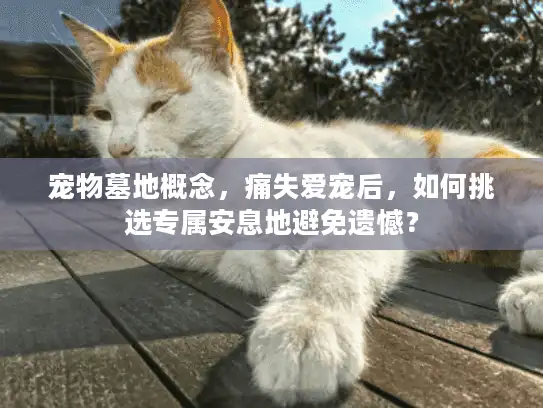 宠物墓地概念，痛失爱宠后，如何挑选专属安息地避免遗憾？