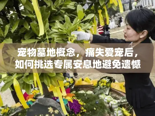 宠物墓地概念，痛失爱宠后，如何挑选专属安息地避免遗憾？