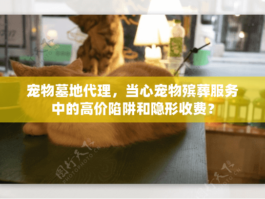 宠物墓地代理，当心宠物殡葬服务中的高价陷阱和隐形收费？