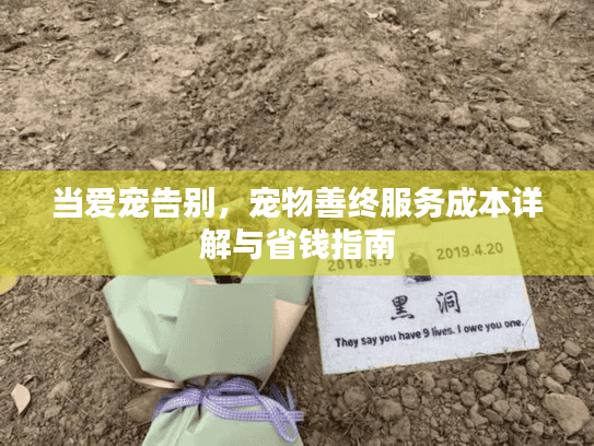 当爱宠告别，宠物善终服务成本详解与省钱指南