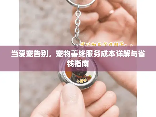 当爱宠告别，宠物善终服务成本详解与省钱指南