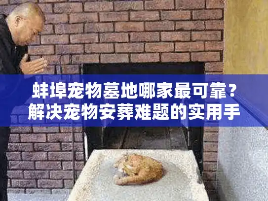 蚌埠宠物墓地哪家最可靠？解决宠物安葬难题的实用手册
