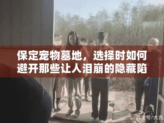 保定宠物墓地，选择时如何避开那些让人泪崩的隐藏陷阱？