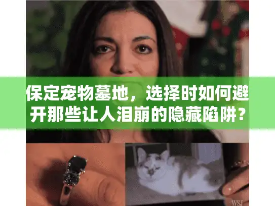 保定宠物墓地，选择时如何避开那些让人泪崩的隐藏陷阱？