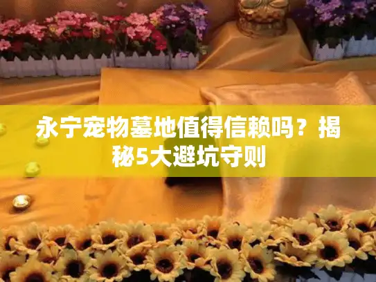 永宁宠物墓地值得信赖吗?揭秘5大避坑守则 永宁宠物墓地值得信赖吗?揭秘5大避坑守则