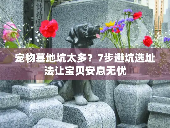 宠物墓地坑太多？7步避坑选址法让宝贝安息无忧