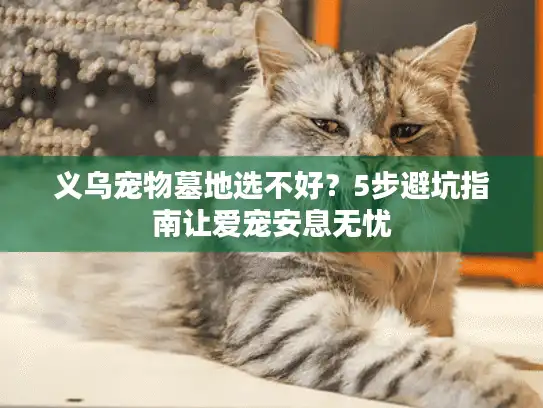 义乌宠物墓地选不好？5步避坑指南让爱宠安息无忧