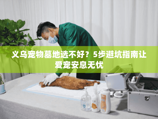 义乌宠物墓地选不好？5步避坑指南让爱宠安息无忧