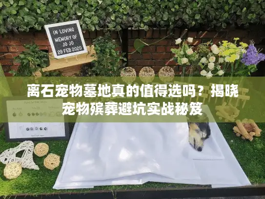 离石宠物墓地真的值得选吗?揭晓宠物殡葬避坑实战秘笈 离石宠物墓地真的值得选吗?揭晓宠物殡葬避坑实战秘笈