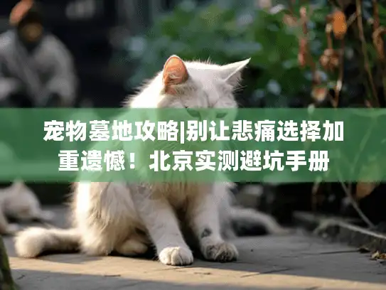 宠物墓地攻略|别让悲痛选择加重遗憾!北京实测避坑手册 宠物墓地攻略|别让悲痛选择加重遗憾!北京实测避坑手册