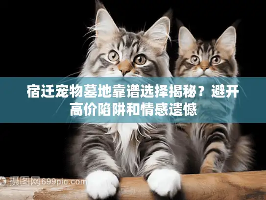 宿迁宠物墓地靠谱选择揭秘?避开高价陷阱和情感遗憾 宿迁宠物墓地靠谱选择揭秘?避开高价陷阱和情感遗憾
