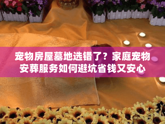 宠物房屋墓地选错了？家庭宠物安葬服务如何避坑省钱又安心
