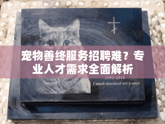 宠物善终服务招聘难？专业人才需求全面解析