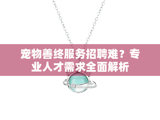 宠物善终服务招聘难？专业人才需求全面解析