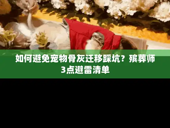 如何避免宠物骨灰迁移踩坑？殡葬师3点避雷清单