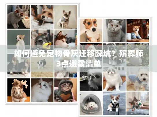 如何避免宠物骨灰迁移踩坑？殡葬师3点避雷清单